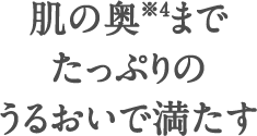 肌の奥（※4）までたっぷりのうるおいで満たす