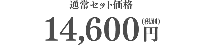 通常セット価格14,600円（税別）